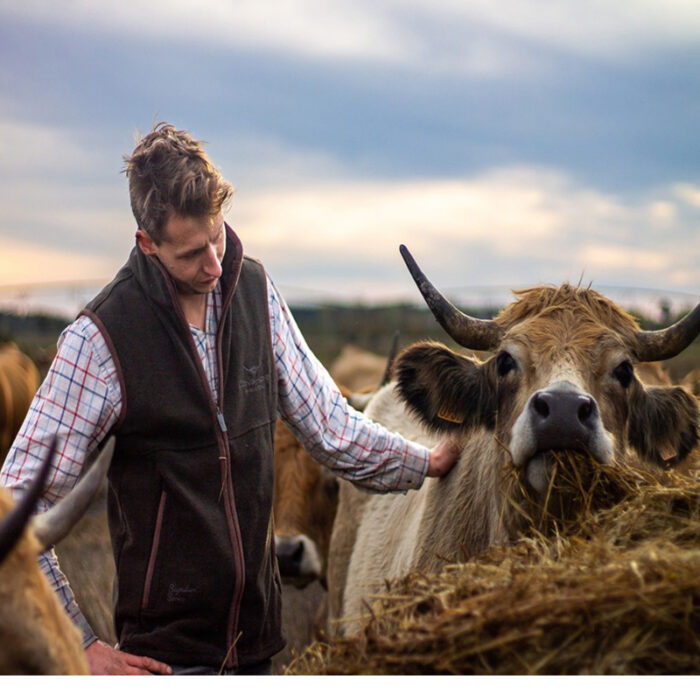 Longhorn Gilet Wessex Green