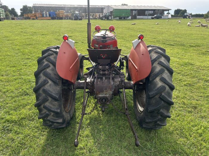 1960 MF35 3 Cylinder - Image 3